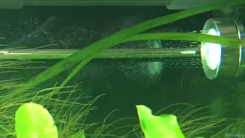 CO2-Diffusor von moehriam (31)