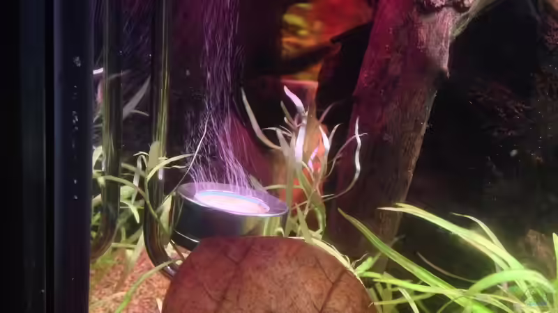 CO2 Diffusor von Q-Grow von lützkopf (18)