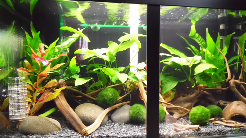 CO2 Diffusor von shiru_k10 (24)