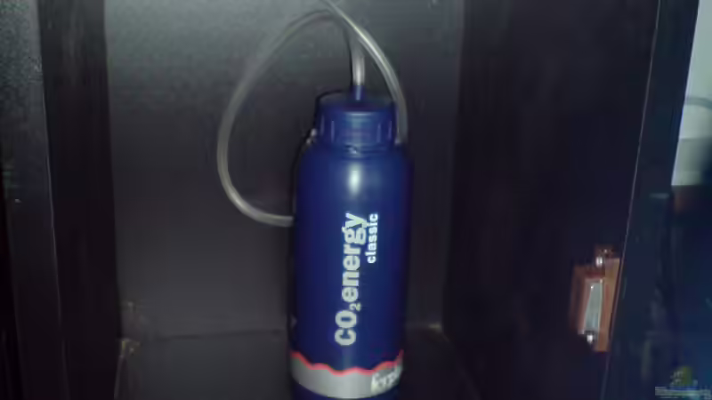 Co2 Energy Classic von Ferplast von Newbie (46)