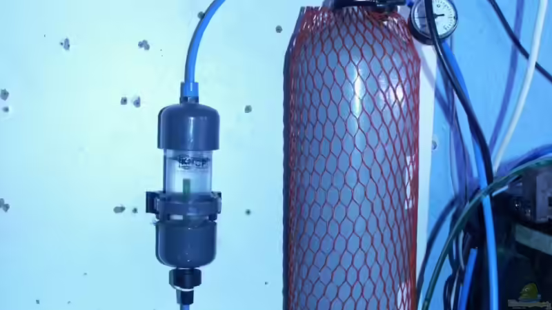 CO2-Flasche + Blasenzähler von Dschinn (51)