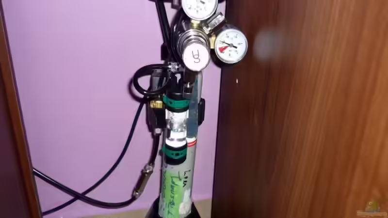 CO2 Flasche mit Druckminderer und Dennerle Blasenzähler von Sabrina & Dirk Bergmann (42)