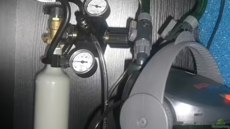 Co2 Flasche und Außenfilter von lukasg (7)