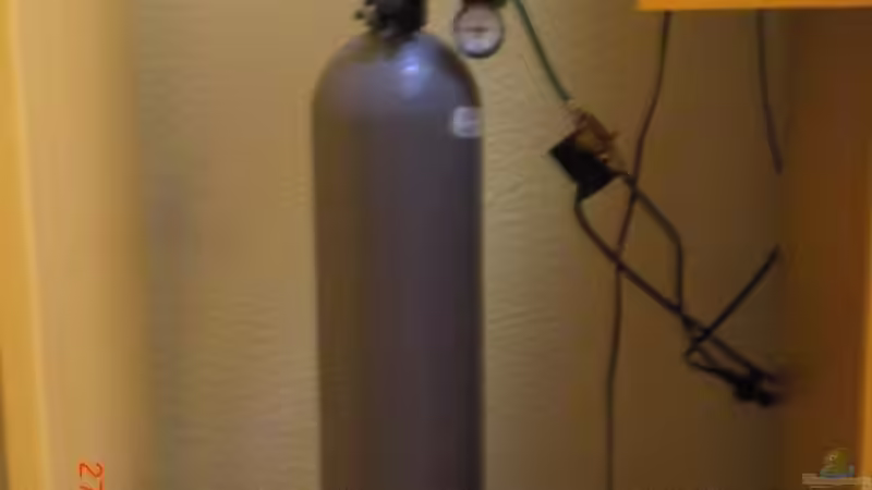 CO2-Flasche von Misterdaddy (17)