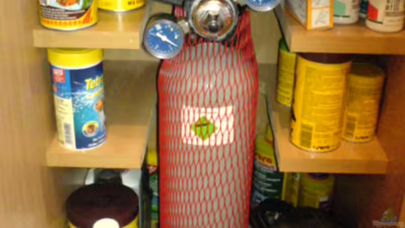 co2 flaschen+futter uvm. linke tür von Kordi (4)