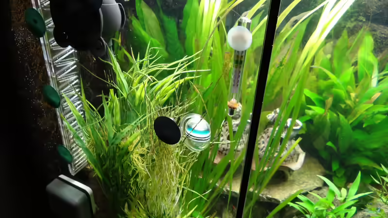 CO2 Flipper + Langzeittest + Strömungspumpe von mcfly (51)