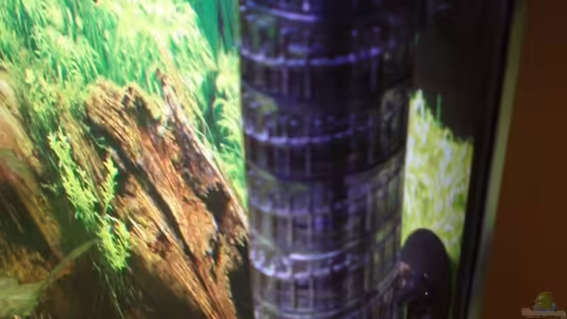 CO2 Flipper von Sven Seidel (17)