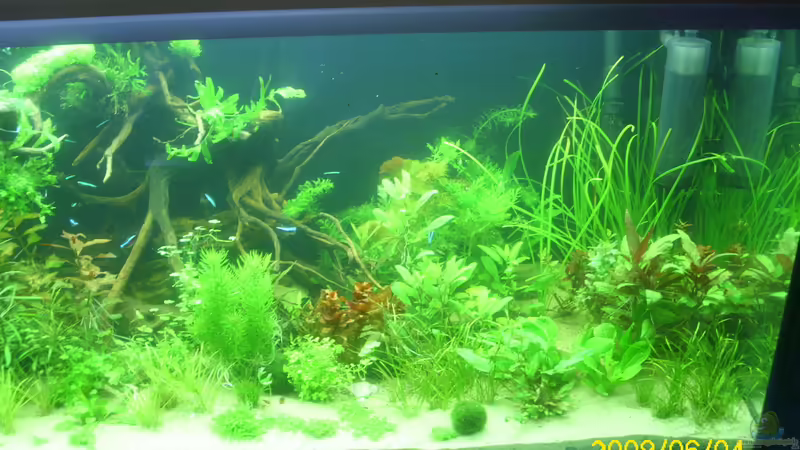 co2 innen reaktor  von Herbert Baier (31)