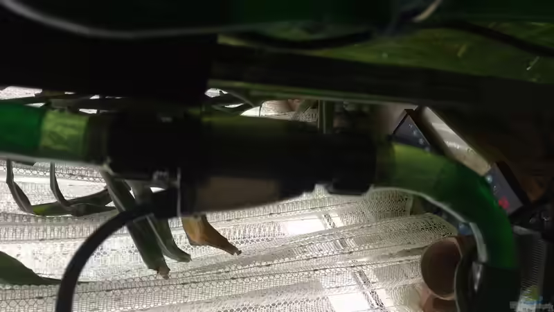 CO2 Inside Atomizer von Thomas Bachl (10)