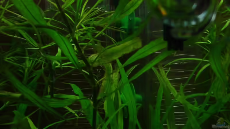 co2 langzeit test von iptila (16)