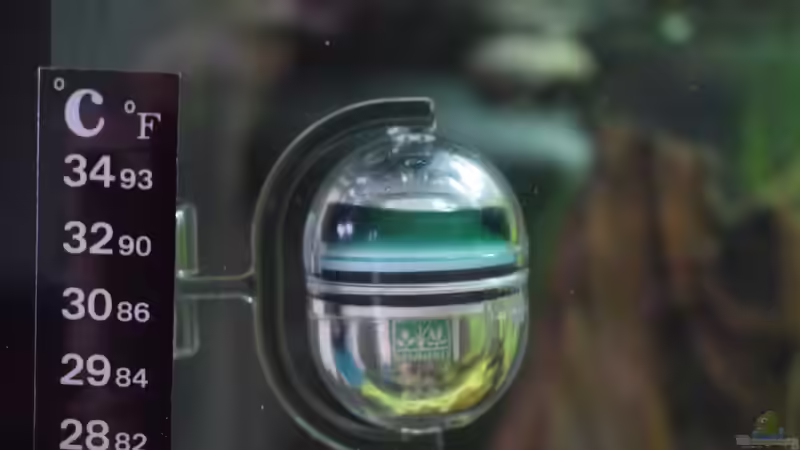 CO2 Langzeitkontrolle von David Schneider Aquaristik (21)