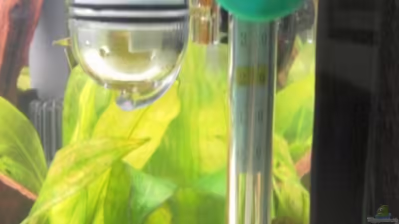 CO2-Langzeitmessung und Thermometer von mawi (19)