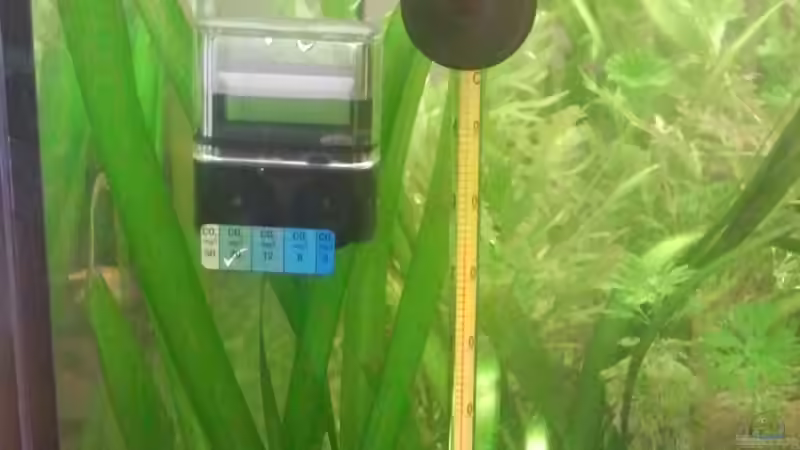 Co2-Langzeittest und Thermometer von Rainbowfan (21)
