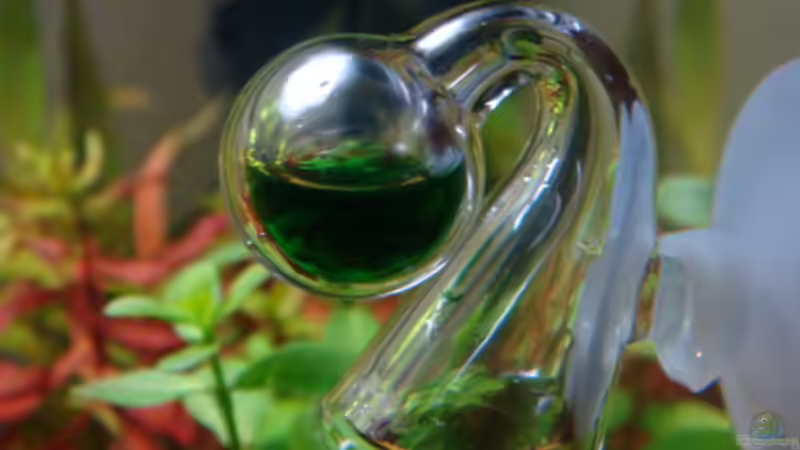 CO2 Langzeittest von Freibel (13)