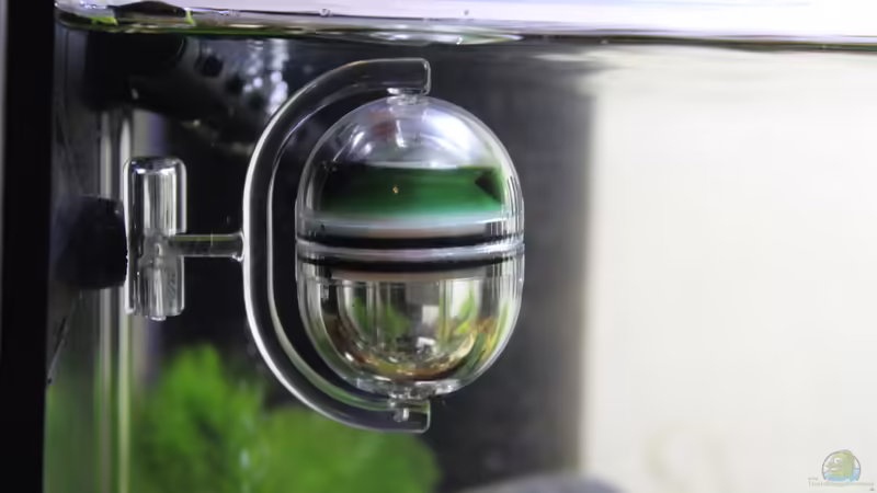 CO2 Langzeittest von SouthAmerica (42)