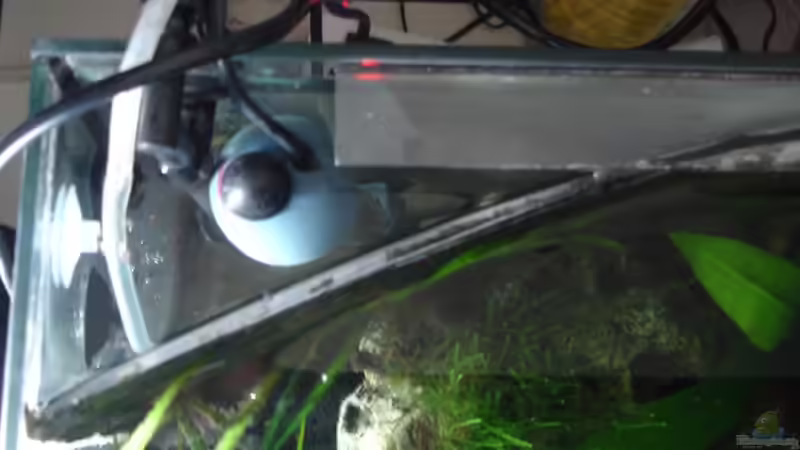 CO2 Reaktor, Ansaugkorb und Heizer versteckt hinter der Rückwand von Alfur (9)