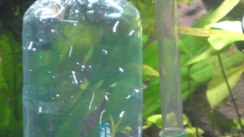 Co2-Reaktor Eigenbau von Debby & Daniel (17)