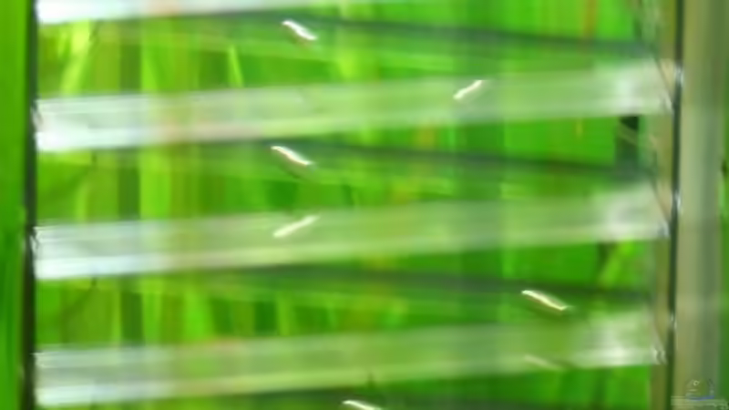 Co2 Reaktor (Flipper) von Tom G. (11)