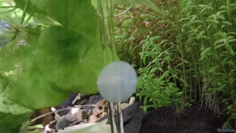 CO2 Reaktor v. 11.02.2024 von C-NA (22)