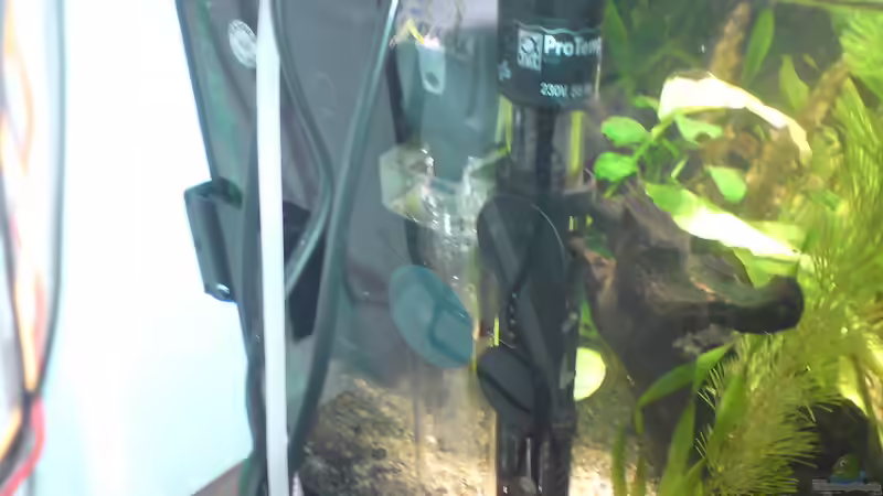 CO2 Reaktor von Aquamaster (10)