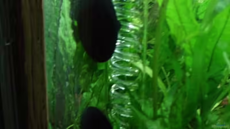 CO2 Reaktor von hej kompisar (16)