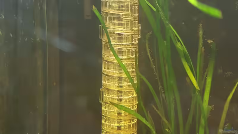 Co2-Reaktor von Johannes L. (37)