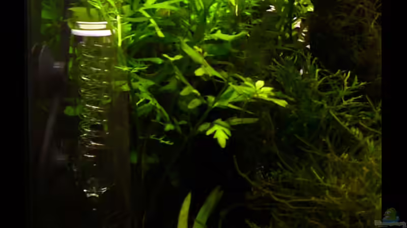 CO2 Reaktor von Stefan Philippi (9)