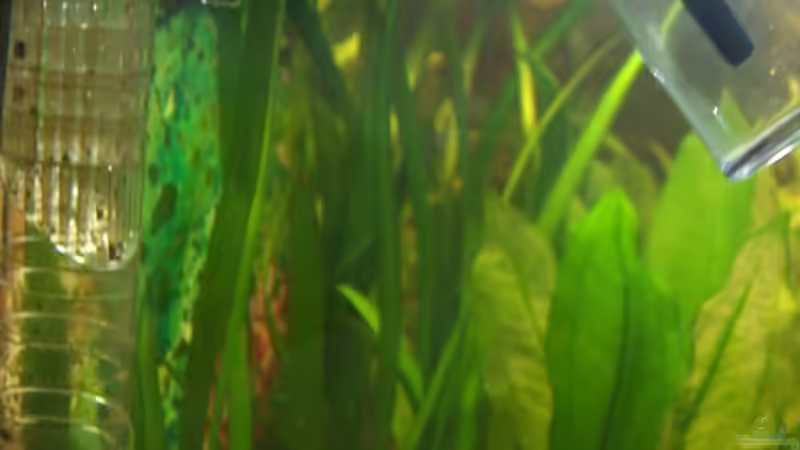 Co2 Reaktor von tomekk (6)