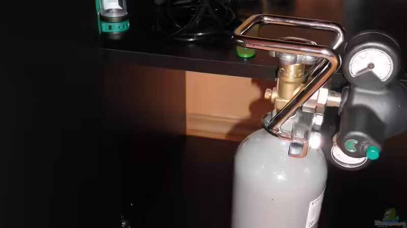 Co2 Seite von Pico (10)