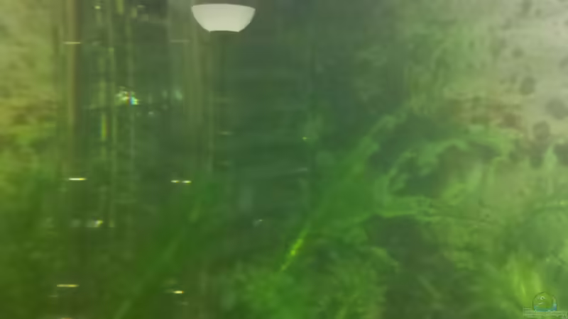 CO2-System von De Millo (20)