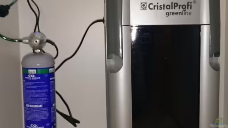 CO2 und Außenfilter von Rene Kromer (10)