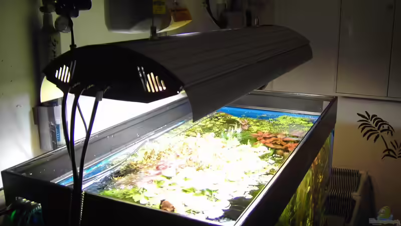 CO2 und Beleuchtung von Peter Niehuber (13)