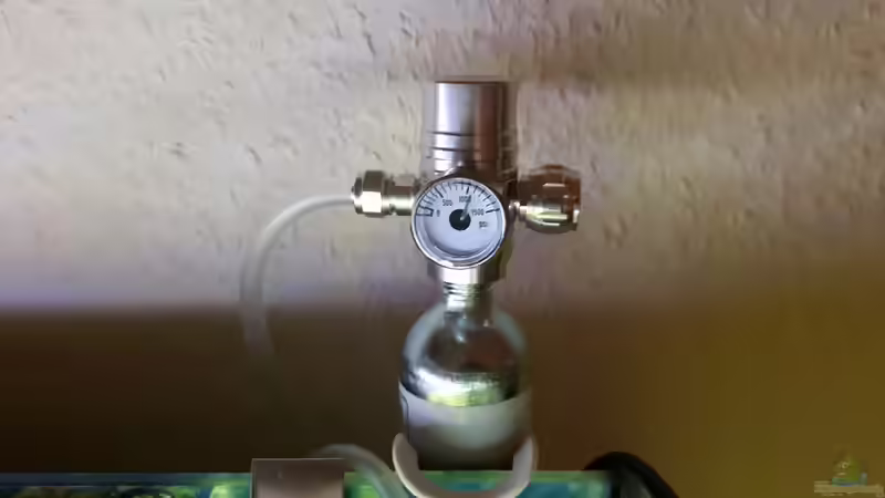 CO2 Versorgung von Der Nicky (53)