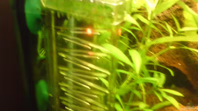 CO2 von Andreas Laubinger (7)