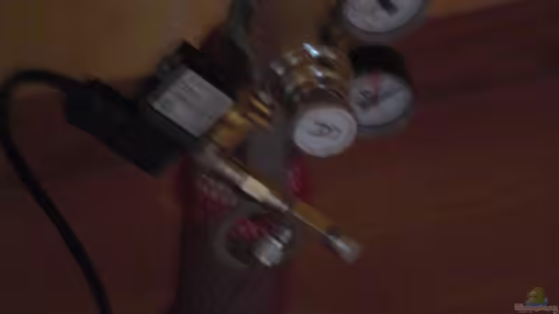 Co2 von guido12304 (6)