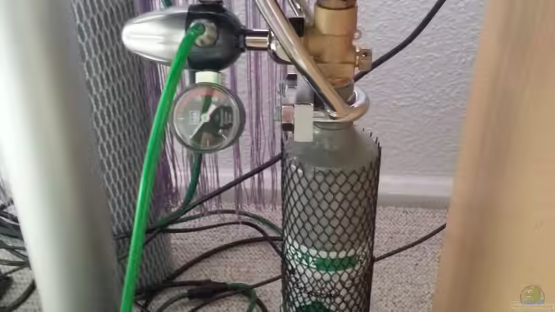 Co2 von Marcel Witt (15)