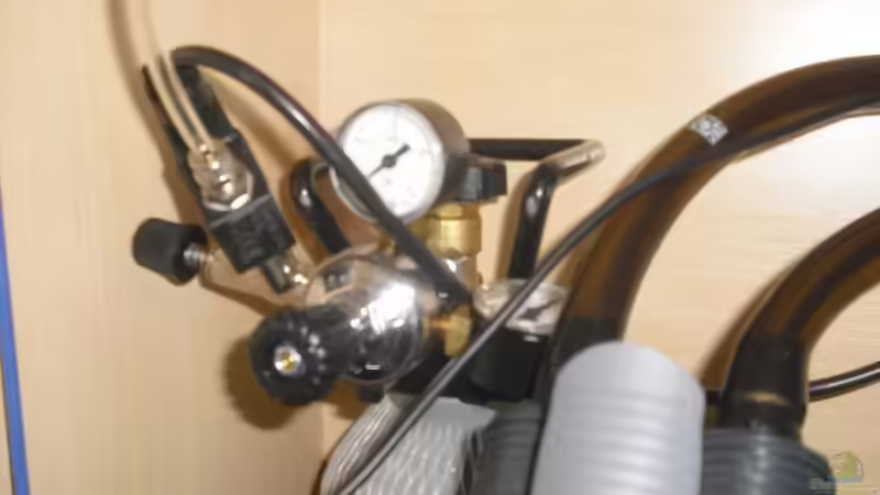 CO2 von nemo0109 (25)