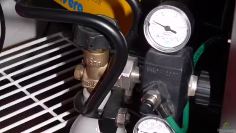 CO2 von wandervogel (7)