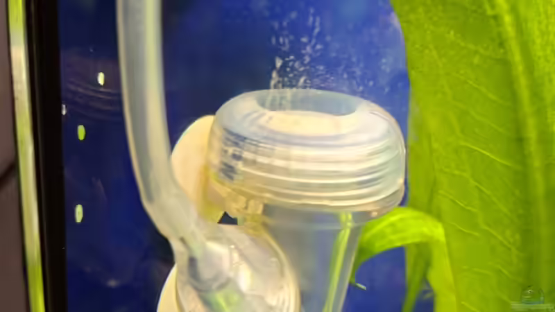 CO2 Zerstäuber von ernst11 (33)