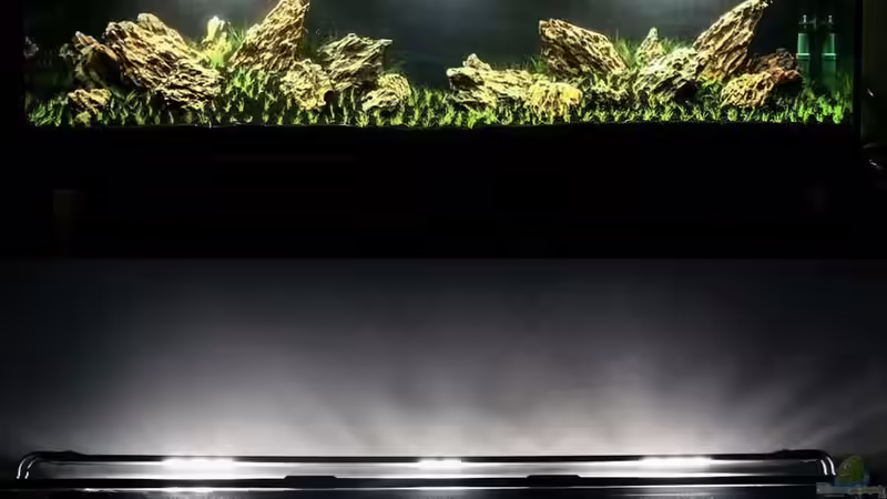 Collage - 1.Tag - nach einem Monat von koba2 (4)