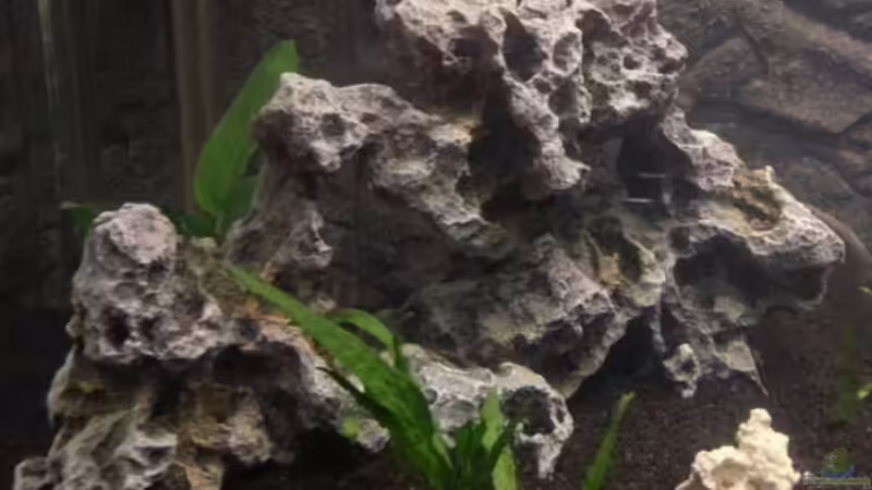 Combo Lava links von AndiR79 (6)