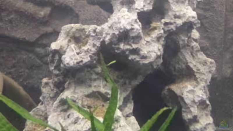 Combo Lava mitte von AndiR79 (5)