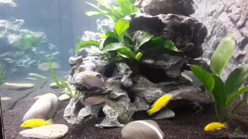 Combo Lava rechts von AndiR79 (4)