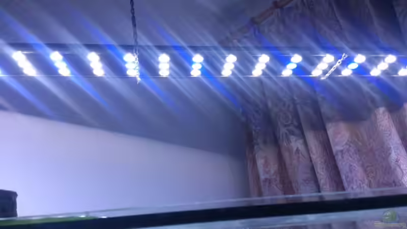 Coral LED 3300 mit Mondlichtschaltung von Freakesoit (14)