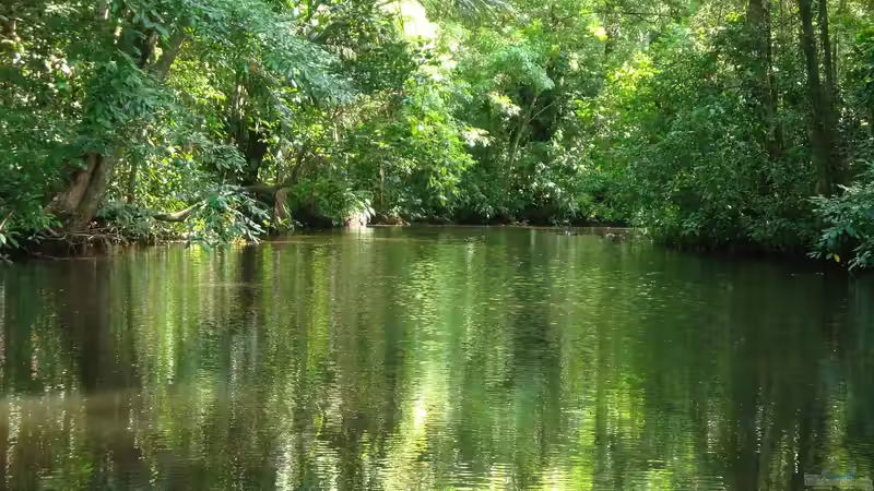 Costa Rica - Ein Paradies für Aquaristik- und Terraristikliebhaber