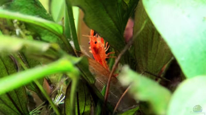 CPO beim klettern von c-th (38)