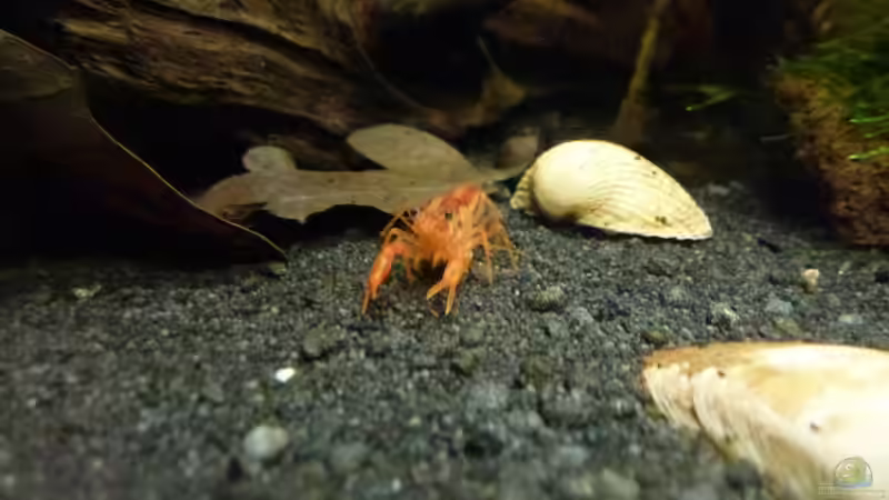 CPO von Jessi & Daniel (20)