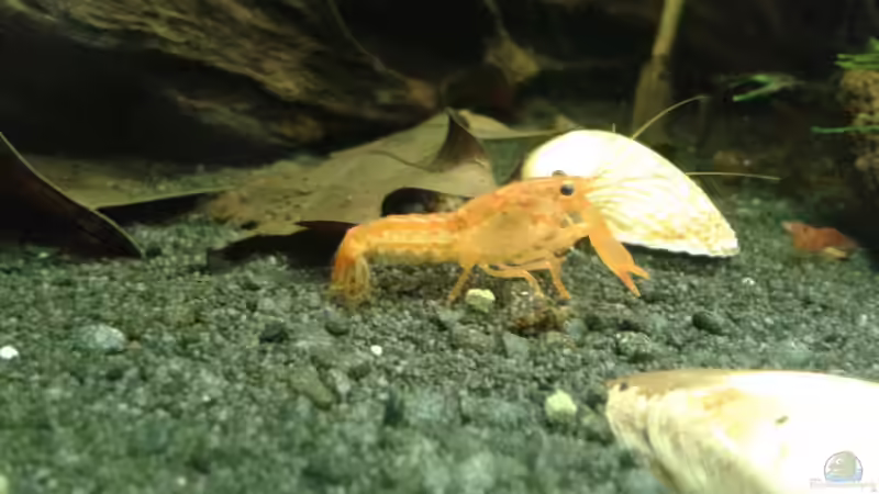 CPO von Jessi & Daniel (24)