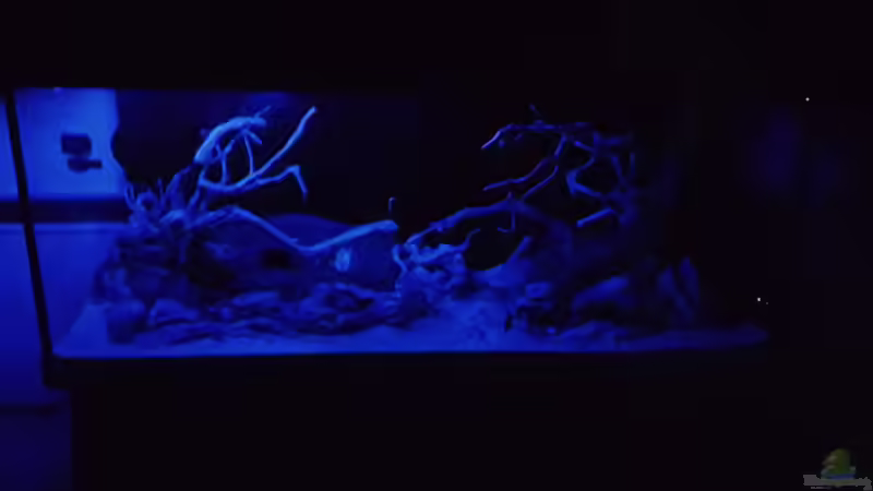 Creative Lights Mondlicht von Köllebärbling (27)