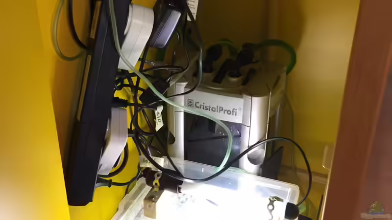 CristalProfi + Elektronik und Schneckenzucht  von Yo Bo (2)